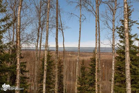 19931 Quiet Way, Chugiak, AK 99567 photo 22