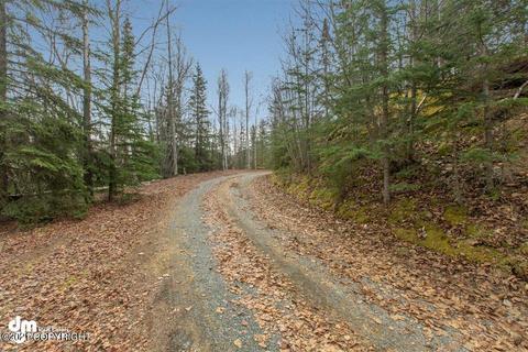 19931 Quiet Way, Chugiak, AK 99567 photo 39