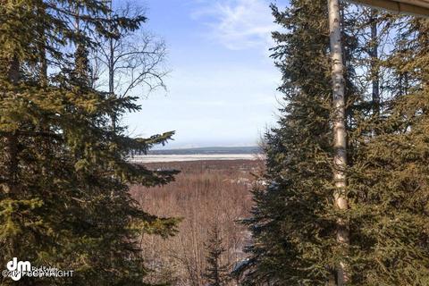 19931 Quiet Way, Chugiak, AK 99567 photo 46