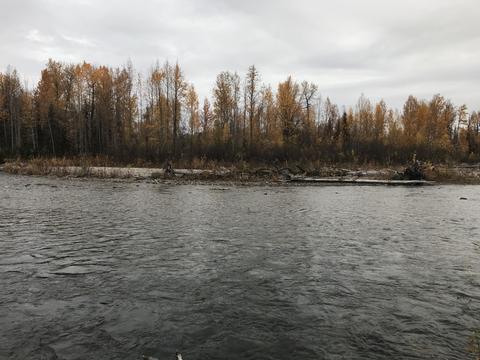 19142 W Willow Cir, Willow, AK 99688 photo 67