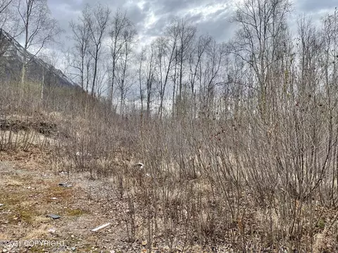 26550 Kerry Loop, Chugiak, AK 99567 photo 2