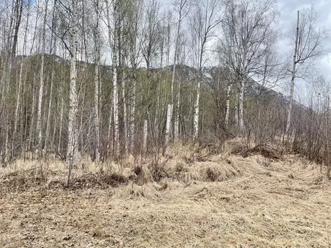 26550 Kerry Loop, Chugiak, AK 99567 photo 1