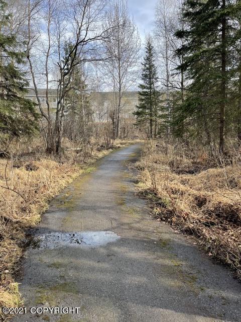 10116 Nantucket Loop, Anchorage, AK 99507 photo 38