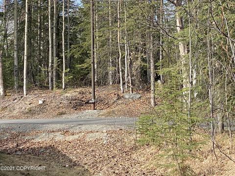 9926 Afognak Cir, Eagle River, AK 99577 photo 47