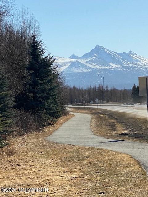 2112 Casey Cusack Loop, Anchorage, AK 99515 photo 28