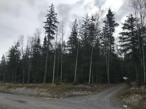 25327 Mathison Rd, Hope, AK 99605 photo 3