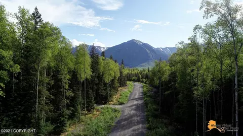 25327 Mathison Rd, Hope, AK 99605 photo 21