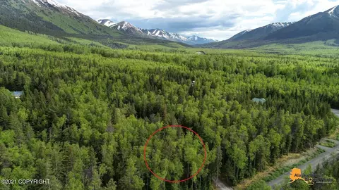 25327 Mathison Rd, Hope, AK 99605 photo 18