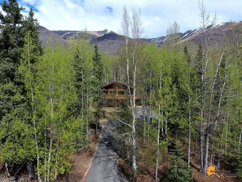 30319 List Cir, Eagle River, AK 99577 photo 67