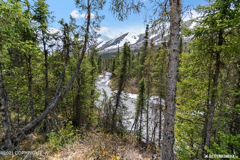3574 Hiland Rd, Eagle River, AK 99577 photo 44