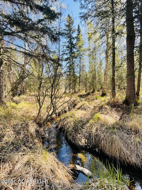 4650 E 147th Ave, Anchorage, AK 99516 photo 54