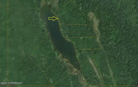 Tr R No Road, Remote, AK 99667