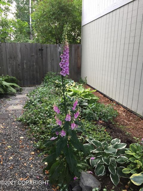 3900 Eric Cir, Anchorage, AK 99507 photo 43