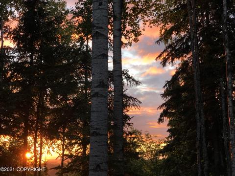 17539 Shasta Cir, Eagle River, AK 99577 photo 5
