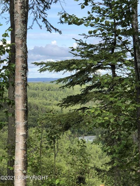 17539 Shasta Cir, Eagle River, AK 99577 photo 75
