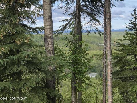 17539 Shasta Cir, Eagle River, AK 99577 photo 4