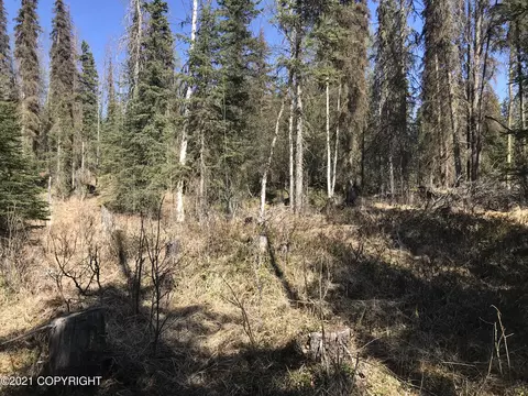 38475 Robinson Loop Rd, Sterling, AK 99672 photo 8