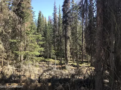 38475 Robinson Loop Rd, Sterling, AK 99672 photo 4