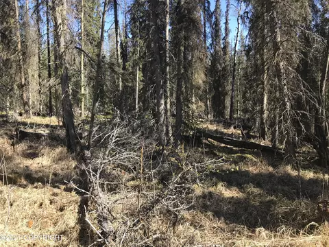 38475 Robinson Loop Rd, Sterling, AK 99672 photo 10