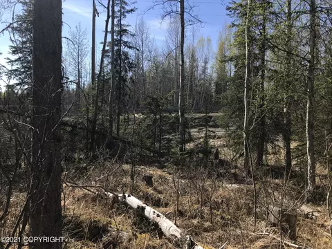 38475 Robinson Loop Rd, Sterling, AK 99672 photo 14