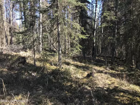 38475 Robinson Loop Rd, Sterling, AK 99672 photo 9