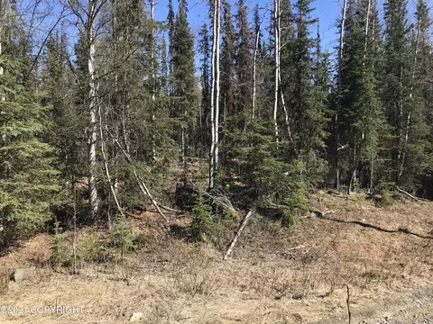38475 Robinson Loop Rd, Sterling, AK 99672 photo 7
