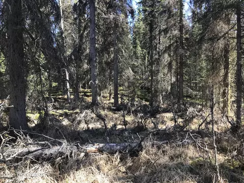 38475 Robinson Loop Rd, Sterling, AK 99672 photo 3