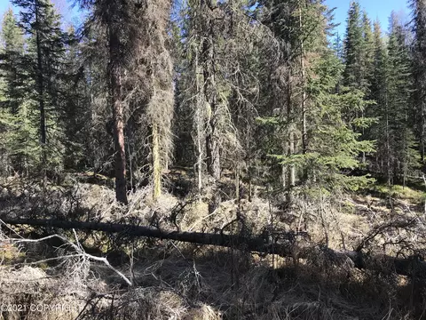 38475 Robinson Loop Rd, Sterling, AK 99672 photo 5