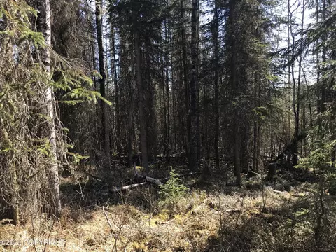 38475 Robinson Loop Rd, Sterling, AK 99672 photo 11