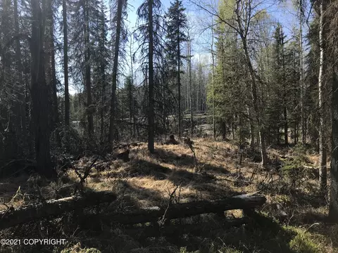 38475 Robinson Loop Rd, Sterling, AK 99672 photo 13