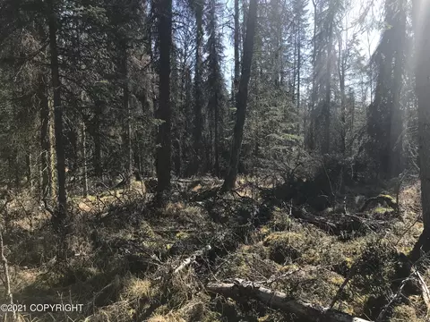 38475 Robinson Loop Rd, Sterling, AK 99672 photo 2