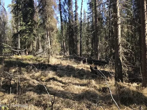 38475 Robinson Loop Rd, Sterling, AK 99672 photo 6