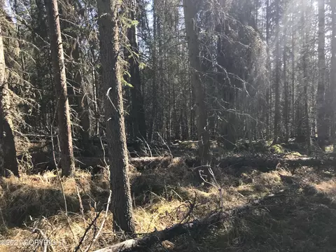 38475 Robinson Loop Rd, Sterling, AK 99672 photo 12