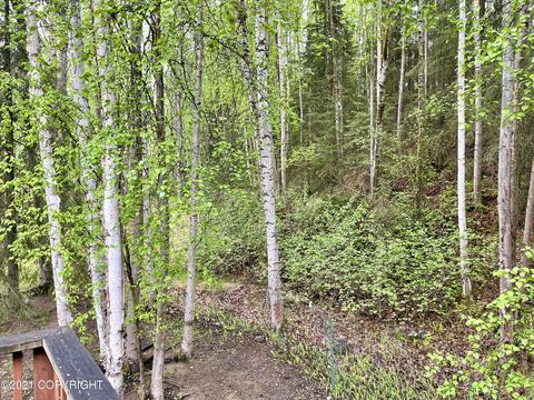 17035 Baronoff Ave, Eagle River, AK 99577 photo 18