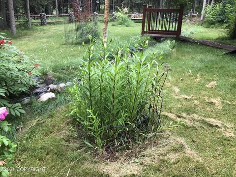 37455 Samsel Rd, Sterling, AK 99672 photo 47