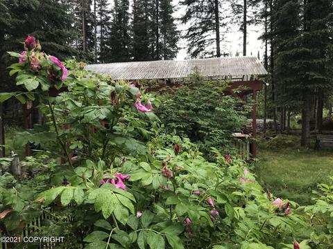 37455 Samsel Rd, Sterling, AK 99672 photo 48