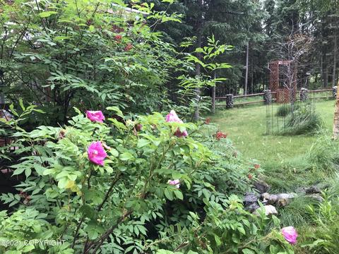 37455 Samsel Rd, Sterling, AK 99672 photo 46