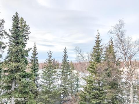 5274 E 147th Ave, Anchorage, AK 99516 photo 55