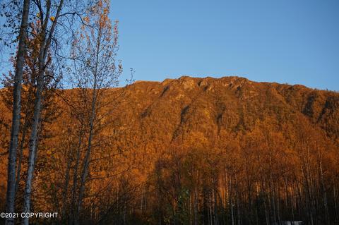 24640 Chugiak Dr, Chugiak, AK 99567 photo 62