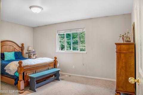 8841 Danny Cir, Eagle River, AK 99577 photo 21