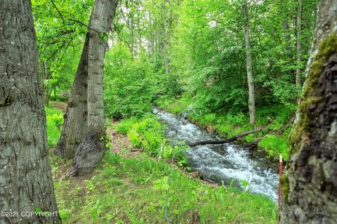 17308 Teklanika Dr, Eagle River, AK 99577 photo 33