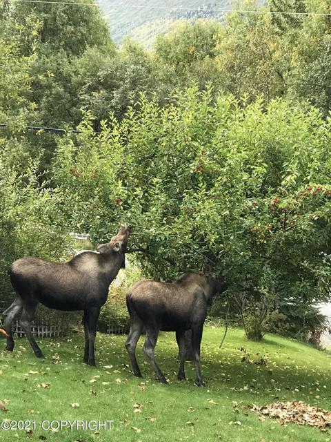 23745 Eagle River Rd, Eagle River, AK 99577 photo 38