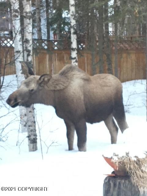 8746 Inyo Cir, Eagle River, AK 99577 photo 44