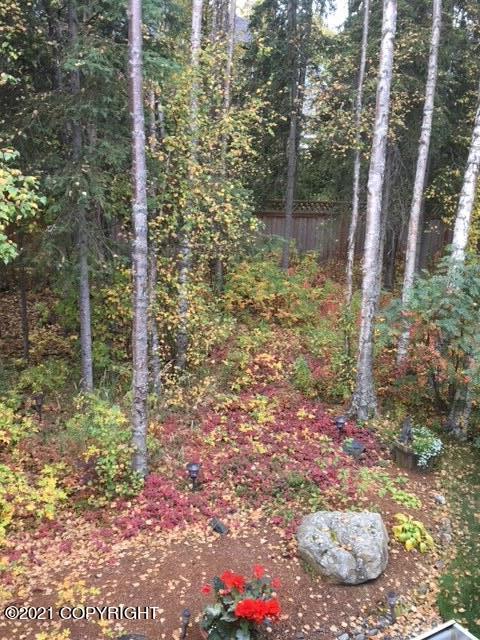 8746 Inyo Cir, Eagle River, AK 99577 photo 42