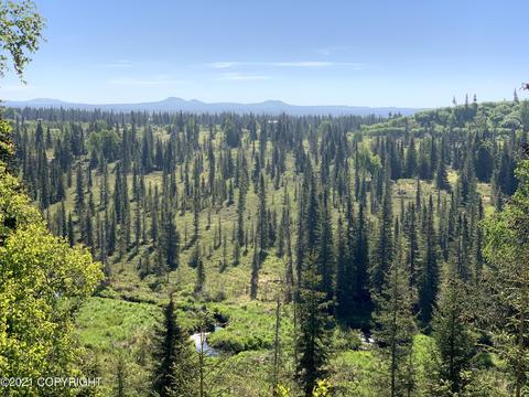 22200 Creek View Rd, Ninilchik, AK 99639 photo 2