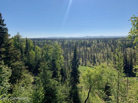22200 Creek View Rd, Ninilchik, AK 99639 photo 13