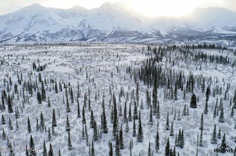 B3-l5 Denali Jack River Canyon, Cantwell, AK 99729