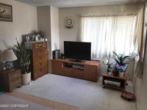 1255 Elegante Ln, Anchorage, AK 99501 photo 14