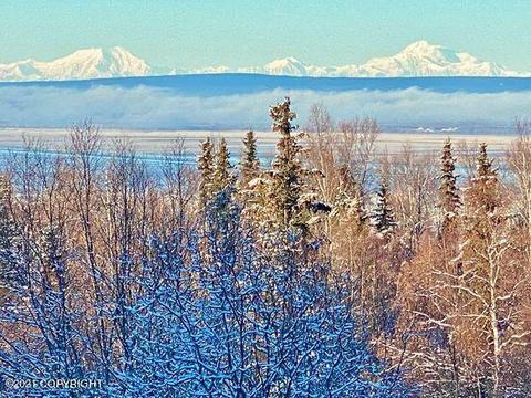 19265 Sullins Dr, Chugiak, AK 99567 photo 40