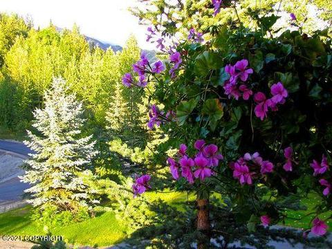 19265 Sullins Dr, Chugiak, AK 99567 photo 37